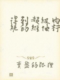 得到超级肉禽系统的维他柠檬茶