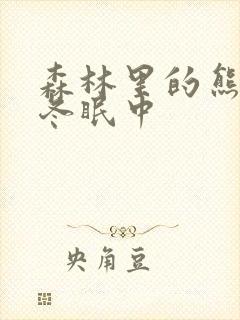 森林里的熊先生冬眠中