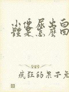 小便尿出白色液体是怎么回事