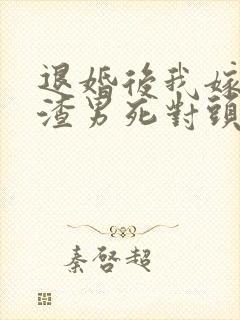 退婚后我嫁给了渣男死对头