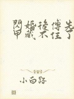 闪婚后傅先生马甲藏不住了 孟宁