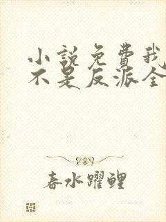 小说免费我真的不是反派全文阅读