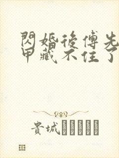 闪婚后傅先生马甲藏不住了在线读