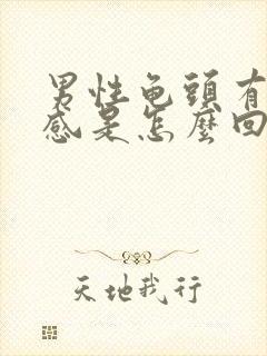 男性龟头有灼烧感是怎么回事封面