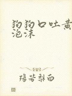 狗狗口吐黄水带泡沫