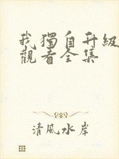 我独自升级免费观看全集