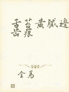 舌苔黄腻边上有齿痕