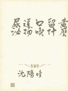 尿道口留黄色分泌物吃什么好