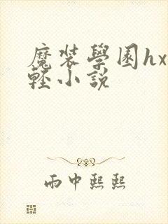 魔装学园hxh轻小说