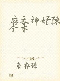 麻衣神婿陈黄皮全本