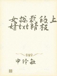 女总裁的上门龙婿txt精校