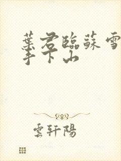 叶君临苏雪儿高手下山