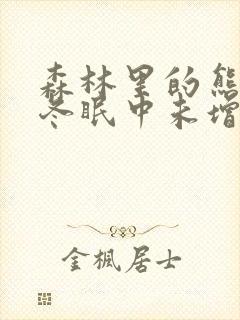 森林里的熊先生冬眠中未增减漫画