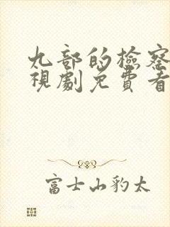 九部的检察官电视剧免费看封面