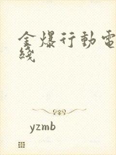 金爆行动电影在线