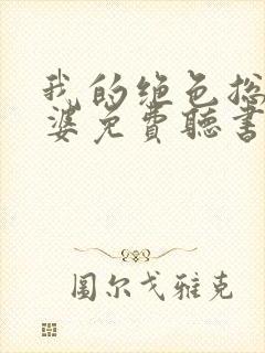 我的绝色总裁老婆免费听书