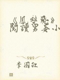 《凤双飞》在线阅读男妾小说封面