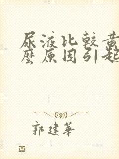 尿液比较黄是什么原因引起的