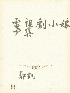 电视剧小娘惹多少集封面