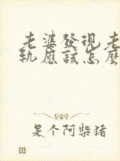 老婆发现老公出轨应该怎么办封面