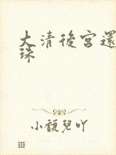 大清后宫还君明珠