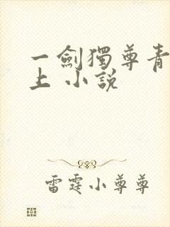 一剑独尊青鸾峰上 小说