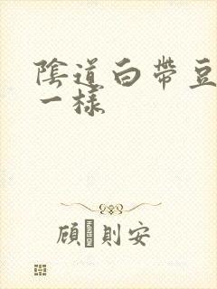 阴道白带豆腐渣一样