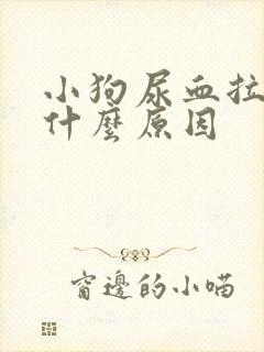 小狗尿血拉血是什么原因封面