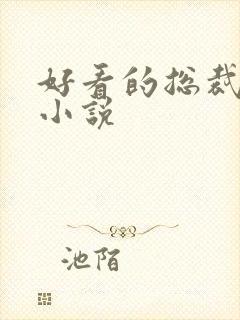 好看的总裁长篇小说