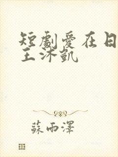 短剧爱在日落前王沐凯