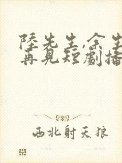 陆先生,余生不再见短剧播放