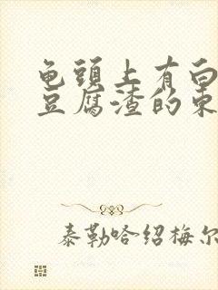 龟头上有白色的豆腐渣的东西