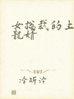 女总裁的上门儿龙婿