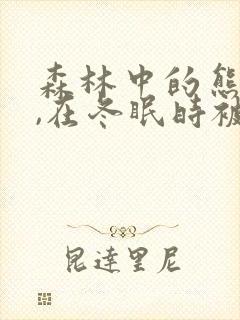 森林中的熊先生,在冬眠时被疼爱了漫画