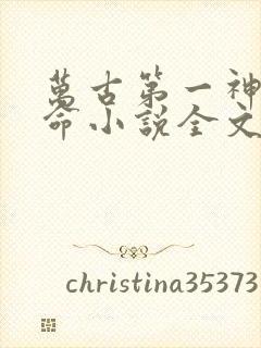 万古第一神李天命小说全文免费阅读无弹窗