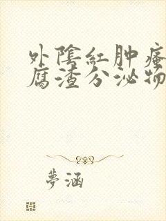 外阴红肿瘙痒豆腐渣分泌物