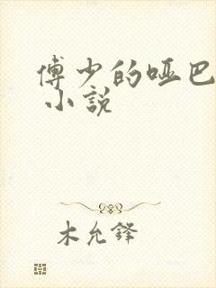 傅少的哑巴新妻 小说封面