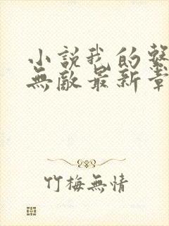 小说我的系统很无敌最新章节