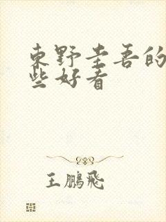 东野圭吾的书哪些好看