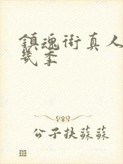 镇魂街真人版有几季