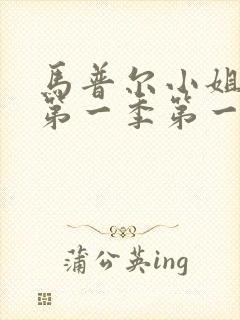 马普尔小姐探案第一季第一集