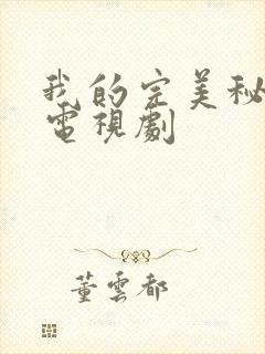 我的完美秘书 电视剧封面