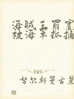 海贼王罗宾娜美被海军抓捕的漫画叫