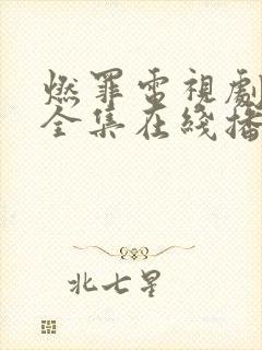 燃罪电视剧免费全集在线播放