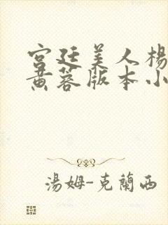 宫廷美人杨贵妃黄蓉版本小说封面