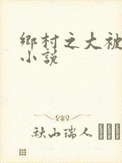 乡村之大被同眠小说封面