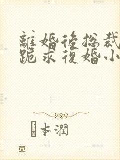 离婚后总裁天天跪求复婚小说