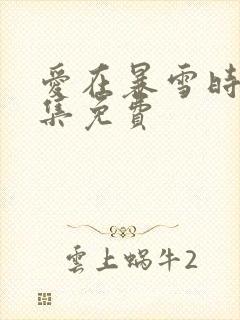 爱在暴雪时分全集免费封面
