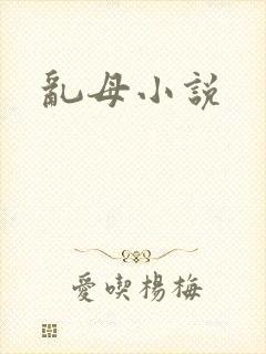 乱母小说