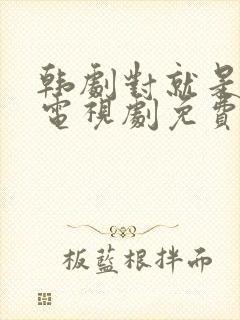 韩剧对就是这样电视剧免费观看